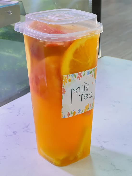Four Season Spring Oolong Tea / 四季春乌龙茶